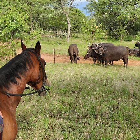 Wild Ride Safaris And Bush Camp Hoedspruit Exterior foto