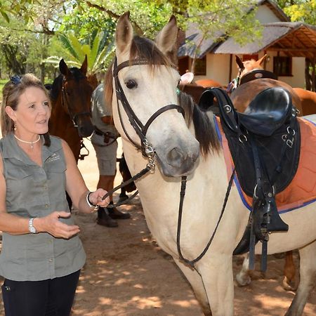 Wild Ride Safaris And Bush Camp Hoedspruit Exterior foto