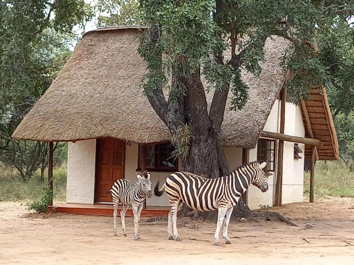 Wild Ride Safaris And Bush Camp Hoedspruit Exterior foto