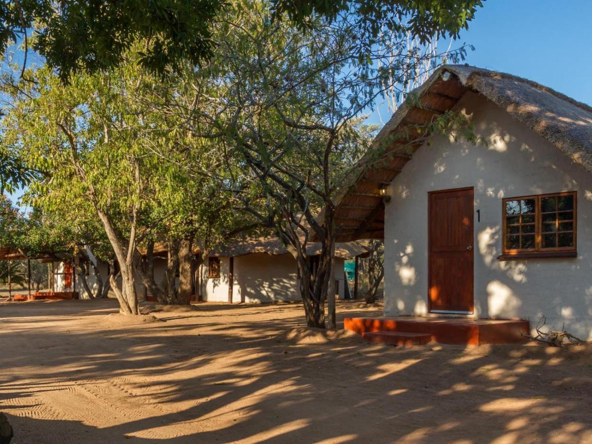 Wild Ride Safaris And Bush Camp Hoedspruit Exterior foto