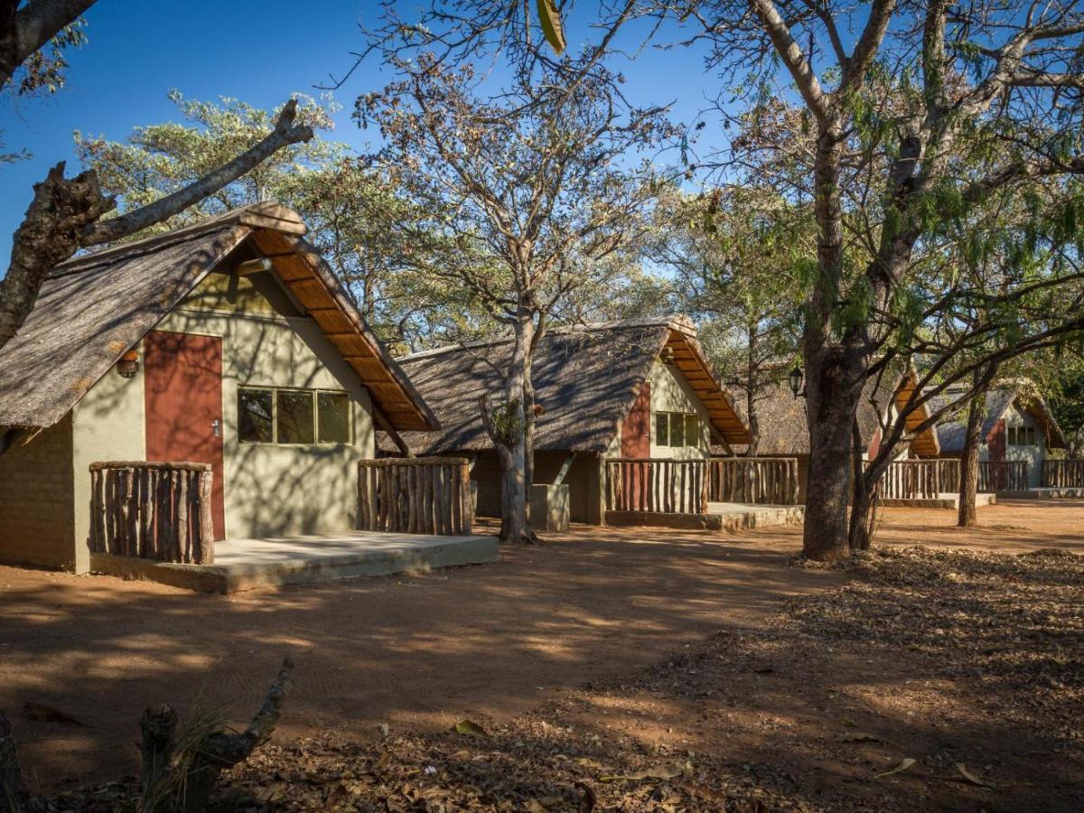 Wild Ride Safaris And Bush Camp Hoedspruit Exterior foto