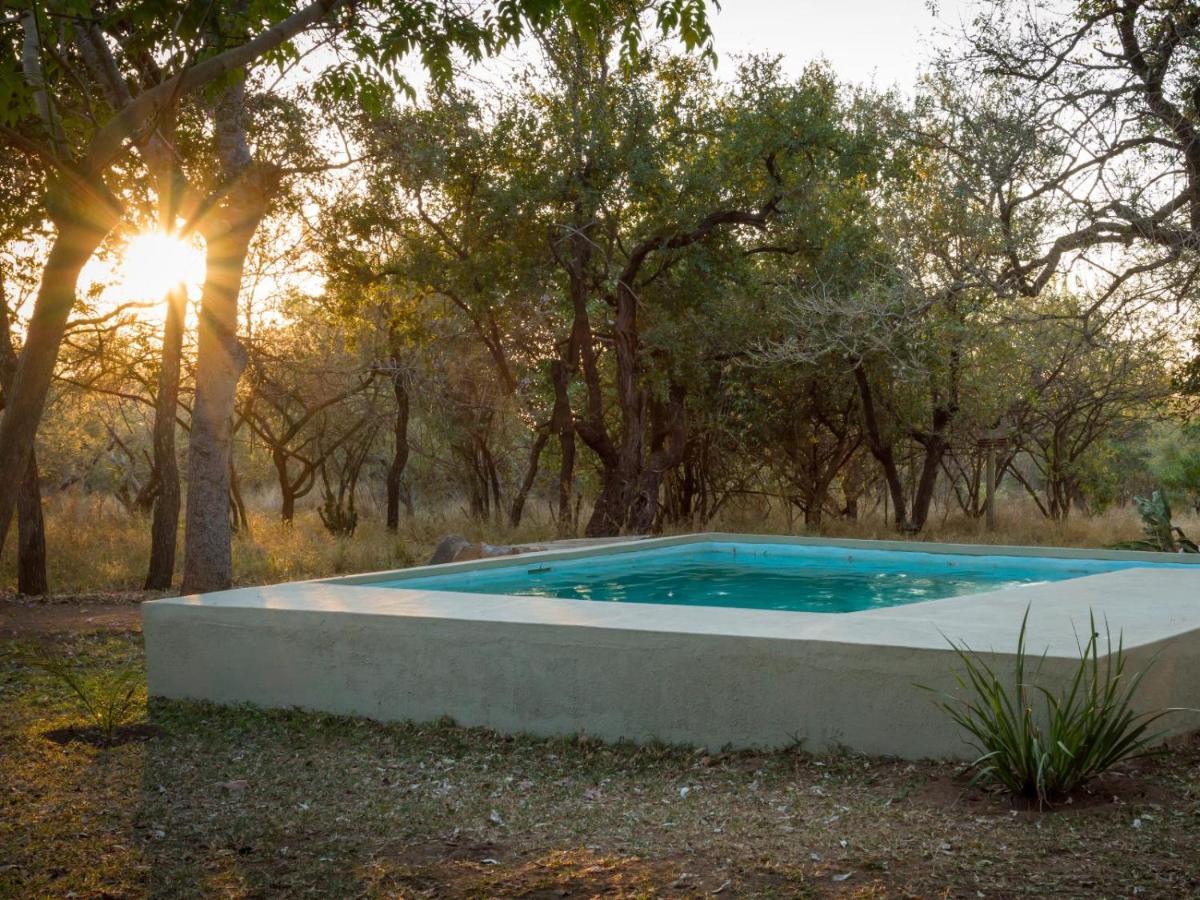 Wild Ride Safaris And Bush Camp Hoedspruit Exterior foto