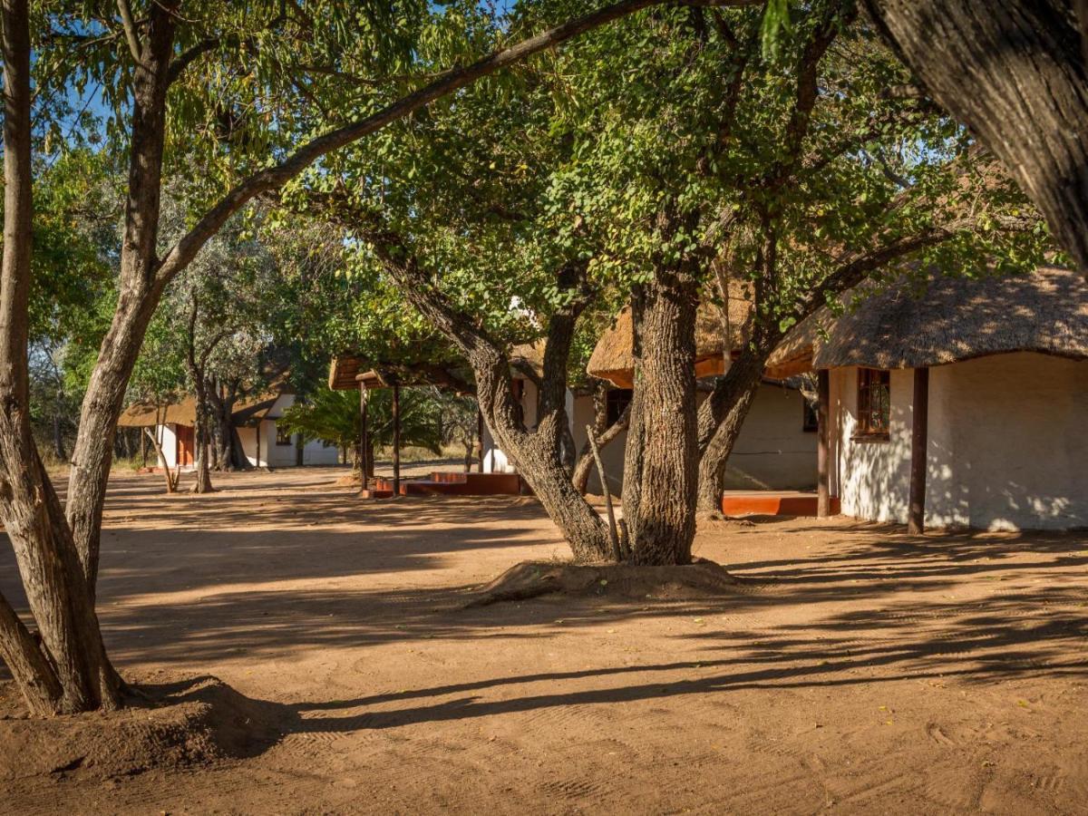 Wild Ride Safaris And Bush Camp Hoedspruit Exterior foto