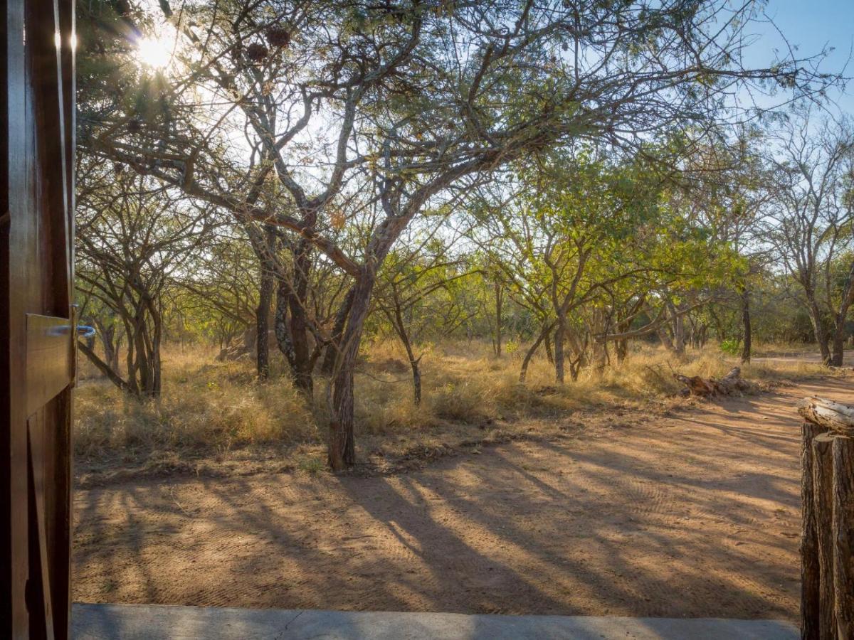 Wild Ride Safaris And Bush Camp Hoedspruit Exterior foto