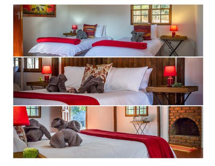 Wild Ride Safaris And Bush Camp Hoedspruit Exterior foto