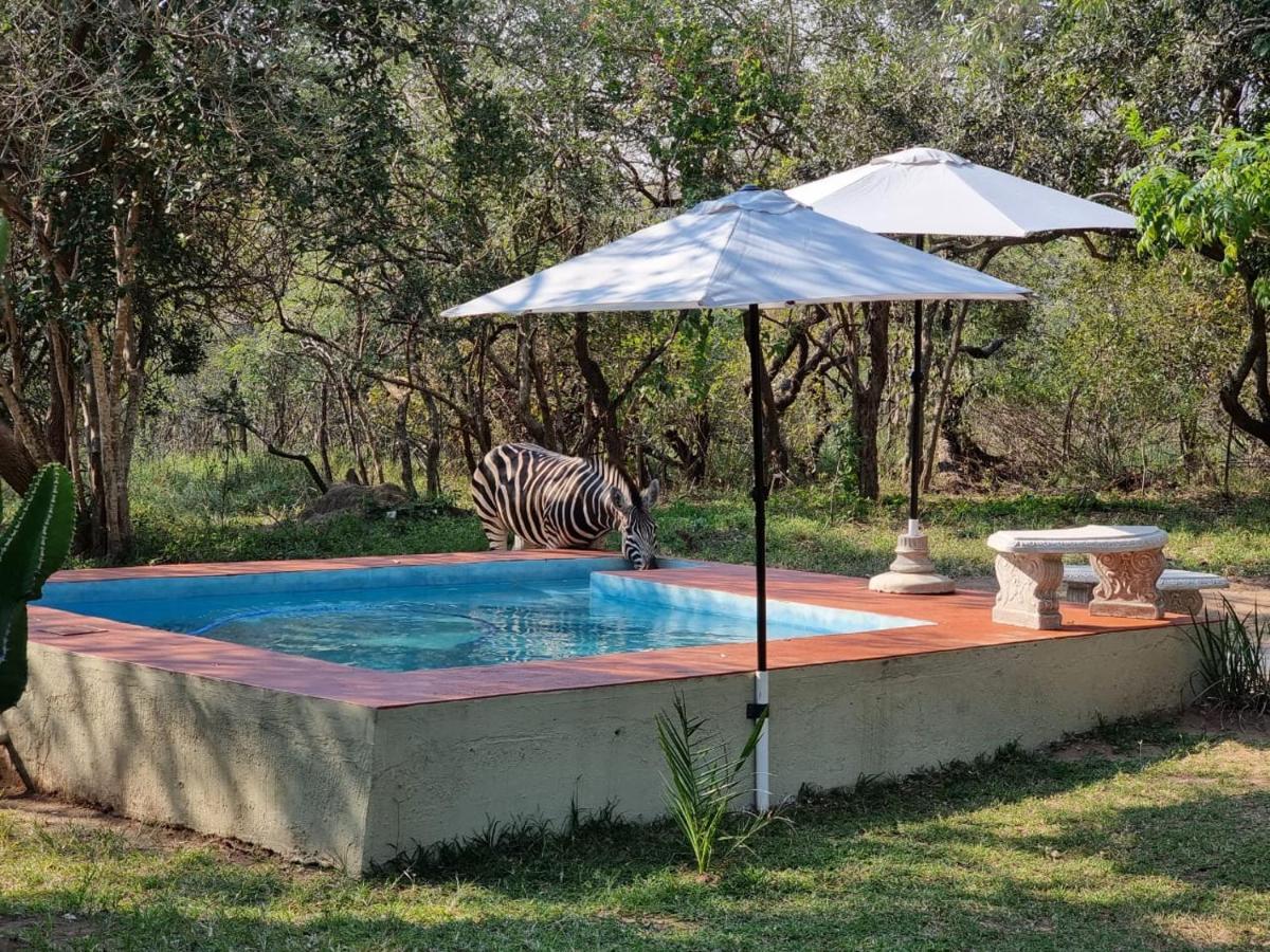 Wild Ride Safaris And Bush Camp Hoedspruit Exterior foto