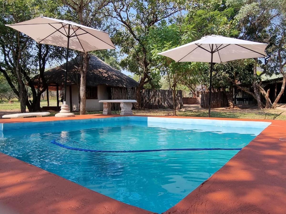 Wild Ride Safaris And Bush Camp Hoedspruit Exterior foto