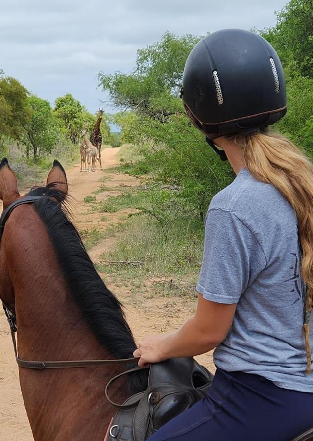 Wild Ride Safaris And Bush Camp Hoedspruit Exterior foto