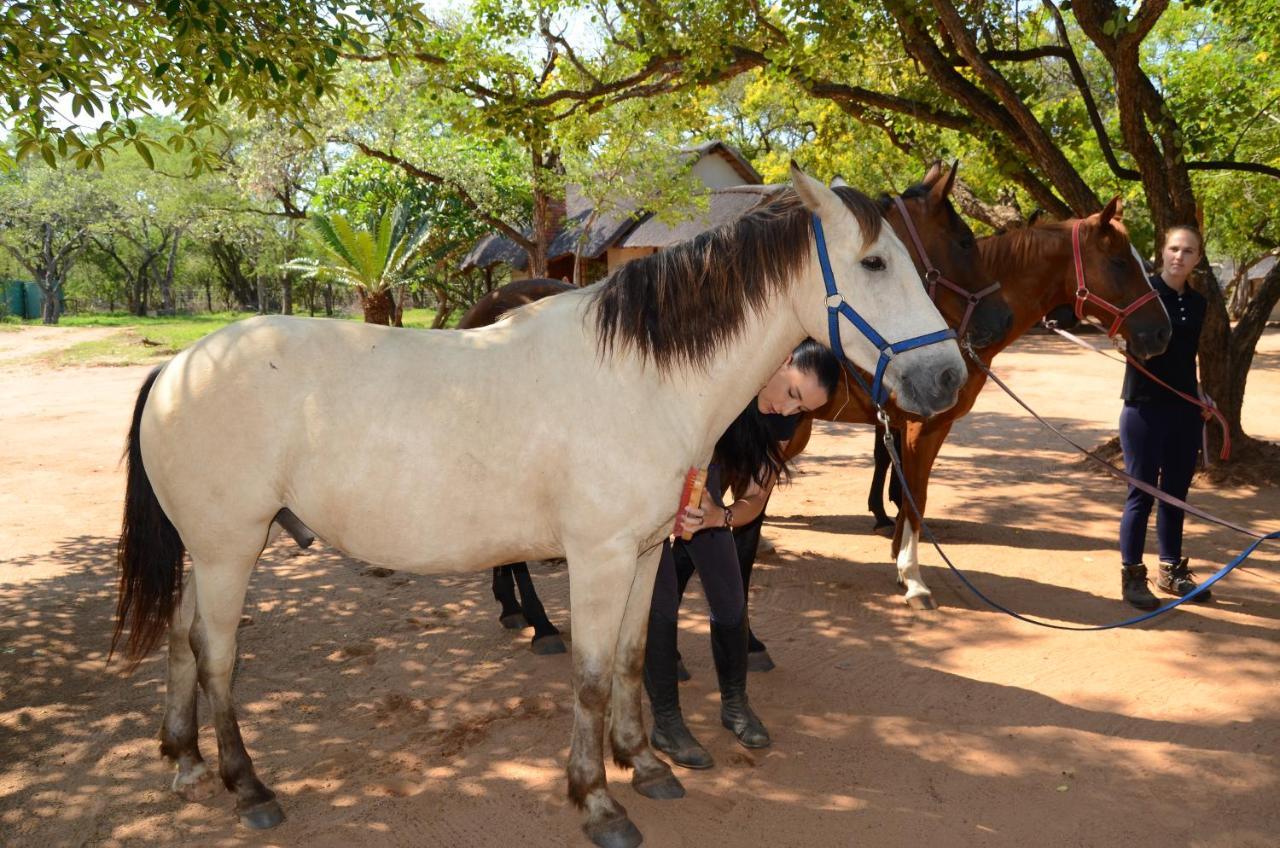 Wild Ride Safaris And Bush Camp Hoedspruit Exterior foto
