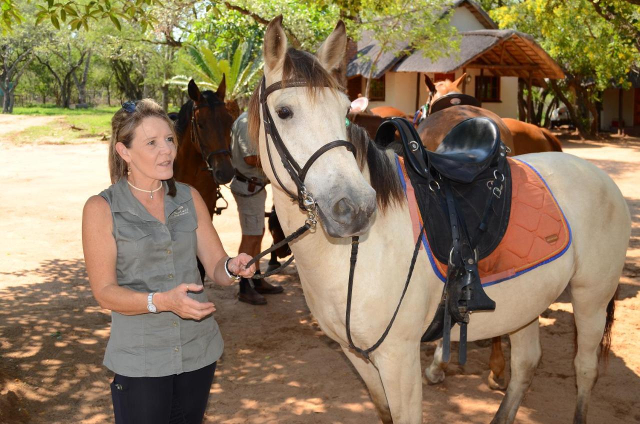 Wild Ride Safaris And Bush Camp Hoedspruit Exterior foto