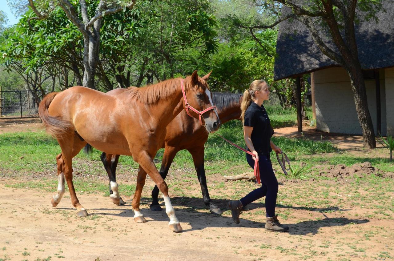 Wild Ride Safaris And Bush Camp Hoedspruit Exterior foto